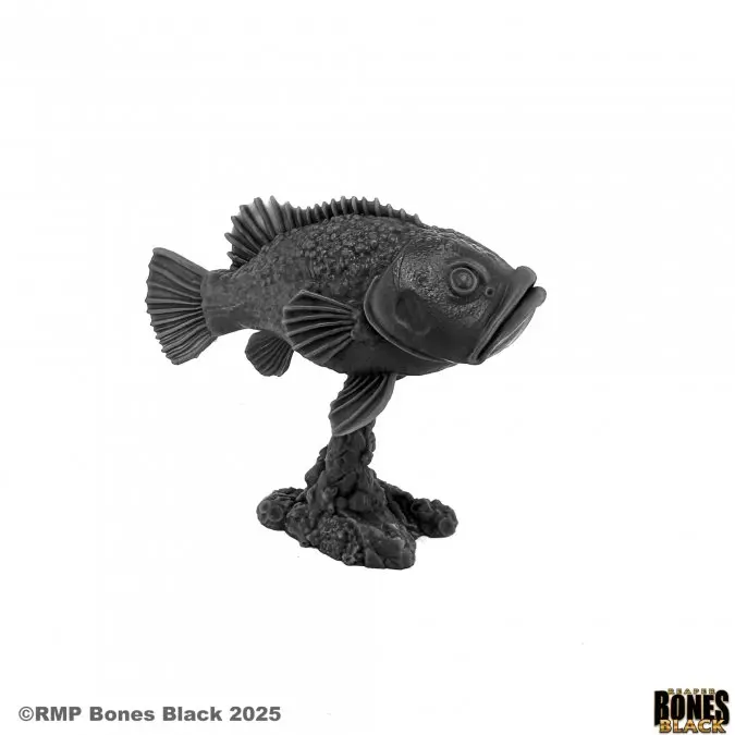 44217 Dire Grouper - Bones Black