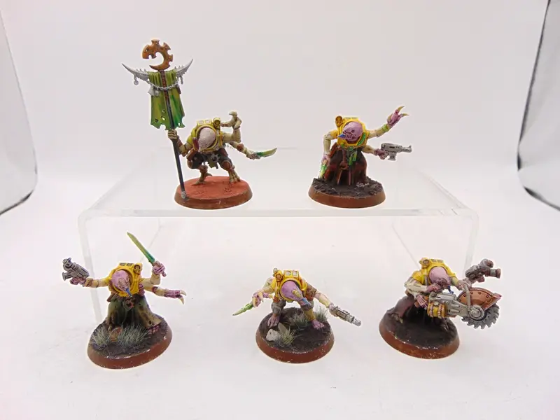Acolyte Hybrids