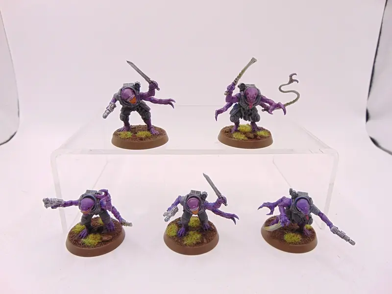 Acolyte Hybrids