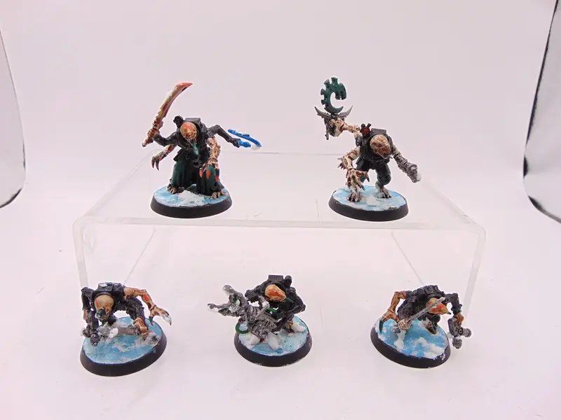 Acolyte Hybrids