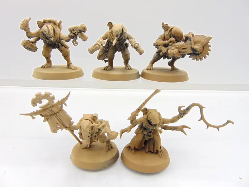 Acolyte Hybrids