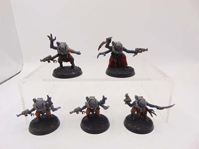 Acolyte Hybrids