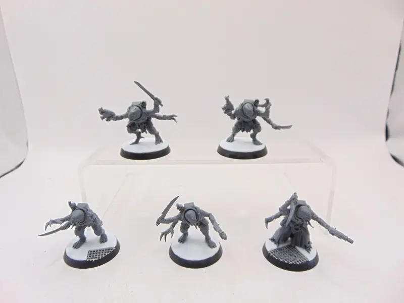 Acolyte Hybrids