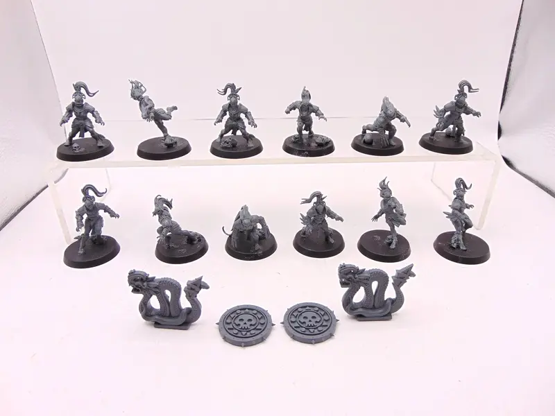 Amazon Blood Bowl Team