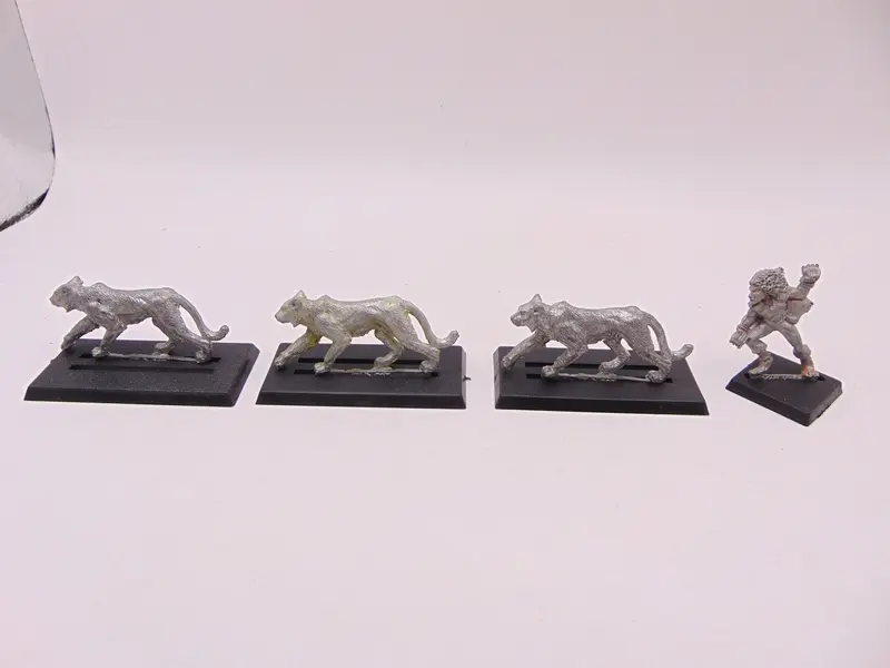 Beast Keeper & Swift Forest Cats