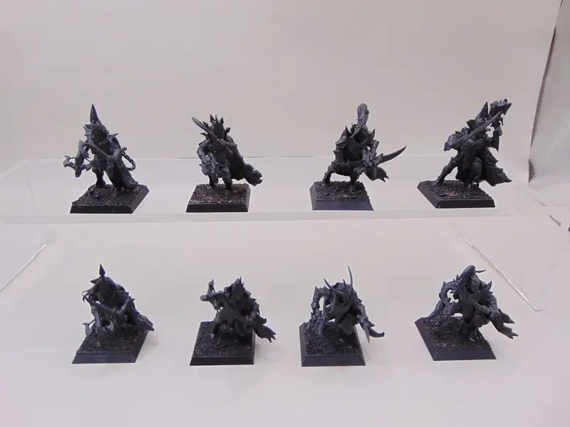 Black Ark Corsairs