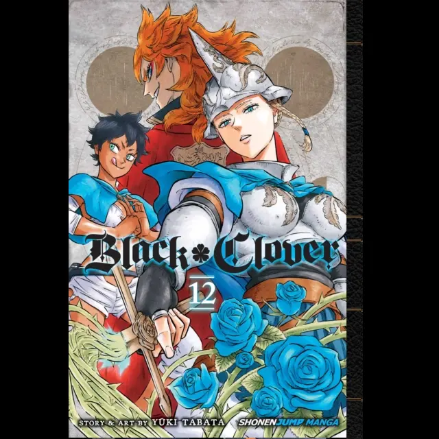 Black Clover Vol. 12