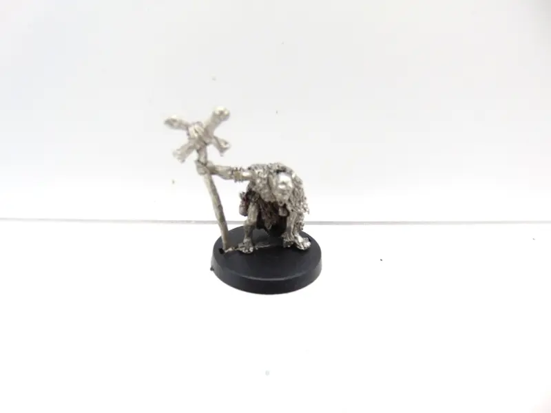 Blackshield Shaman