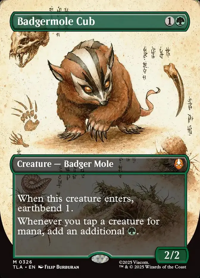 Borderless Field Notes Badgermole Cub Avatar The Last Airbender #326