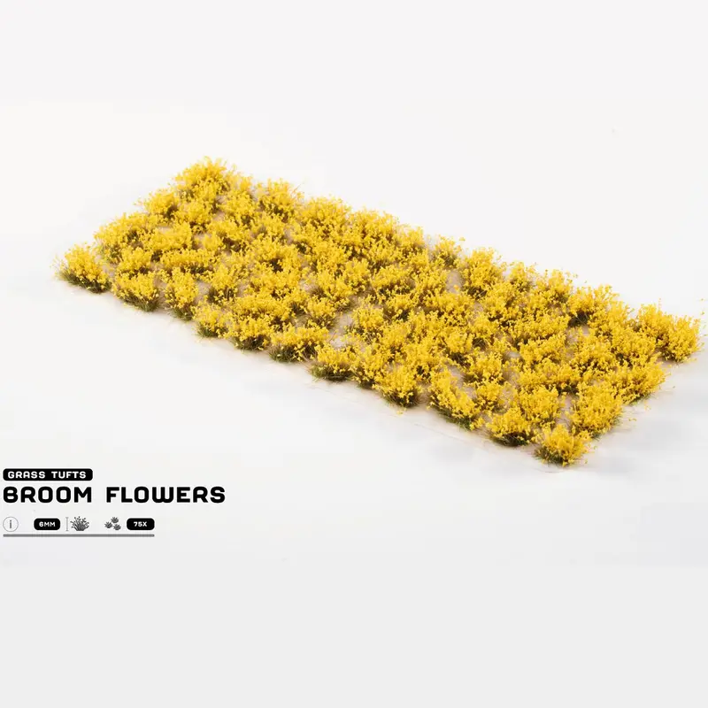 Broom Flowers - Gamers Grass