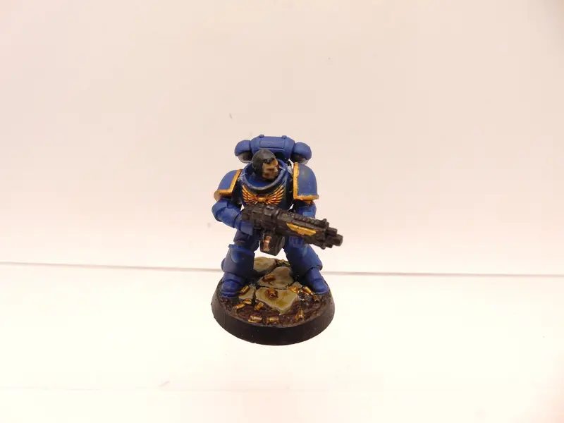 Brother Vignius