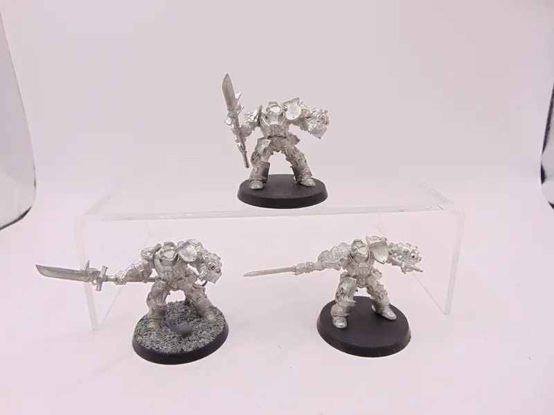 Brotherhood Terminators