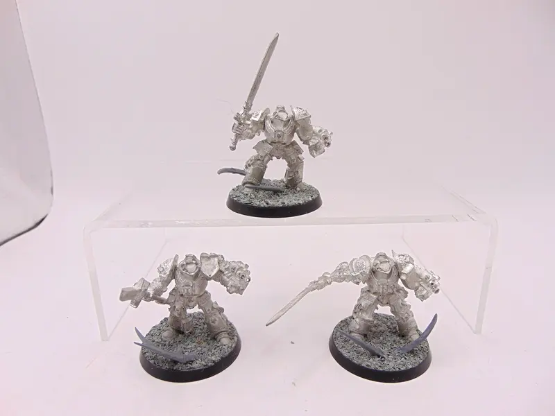Brotherhood Terminators