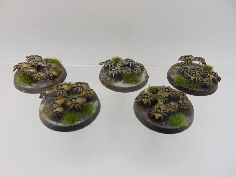 Canoptek Scarab Swarms
