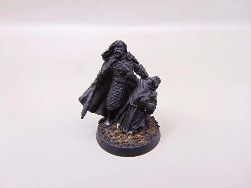 Captain of Rohan