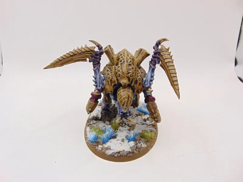 Carnifex