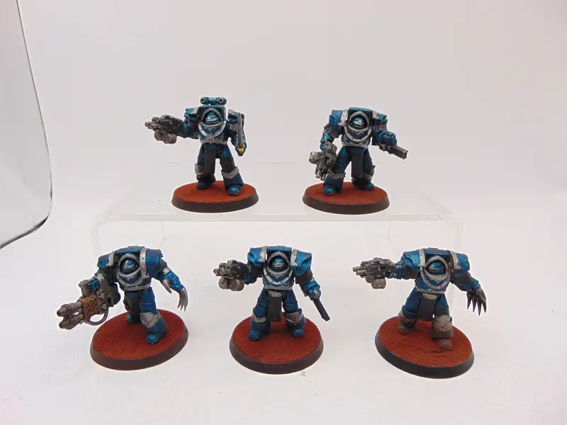 Cataphractii Terminator Squad
