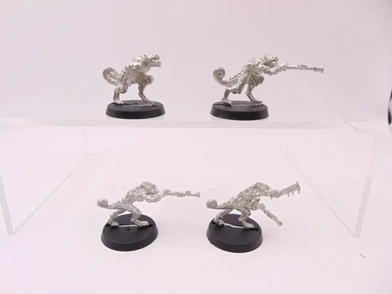 Chameleon Skinks