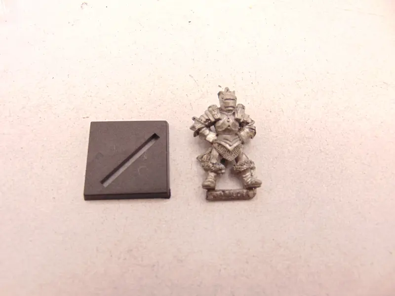 Chaos Marauder / Thug F5 Zarygor Bloodrage