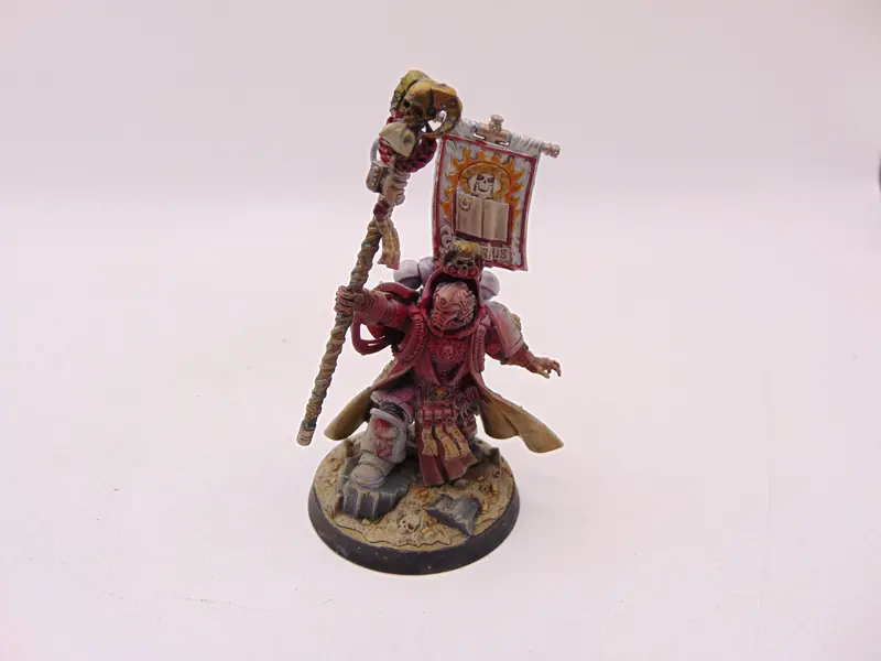 Chief Librarian Tigurius