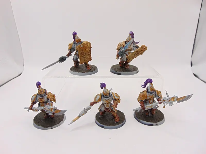 Custodian Guard