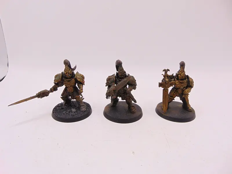 Custodian Guard