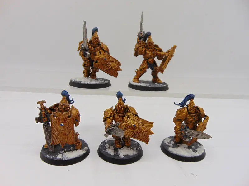 Custodian Guard