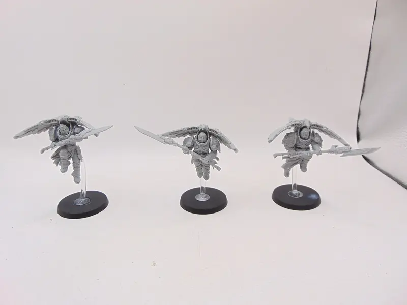 Custodian Venatari