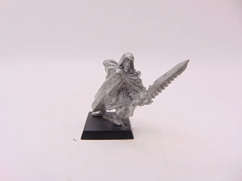 Dark Elf Assassin