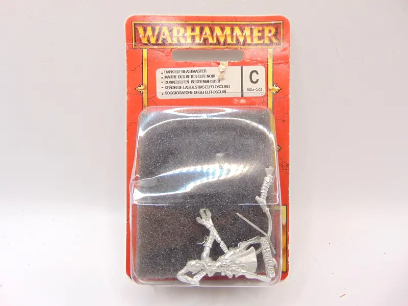 Dark Elf Beastmaster
