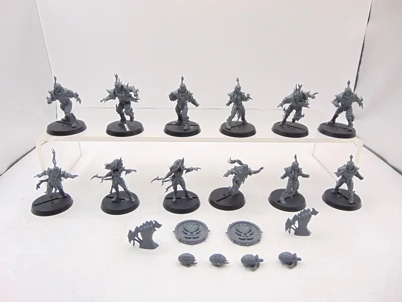 Dark Elf Blood Bowl Team – Naggaroth Nightmares