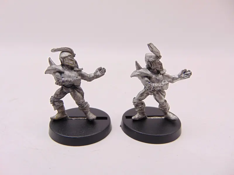 Dark Elf Catchers