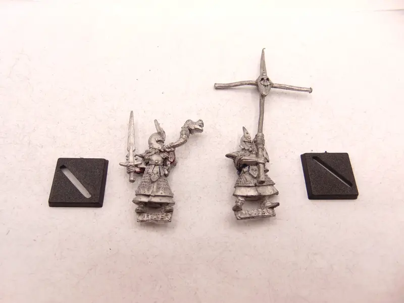 Dark Elf Command Standard & Musician
