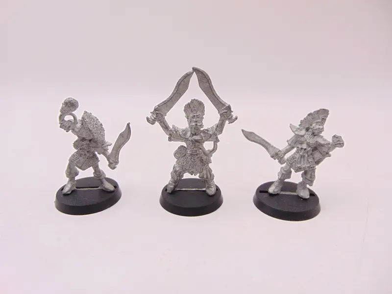 Dark Elf Regiment - Champion, Musician & Warrior
