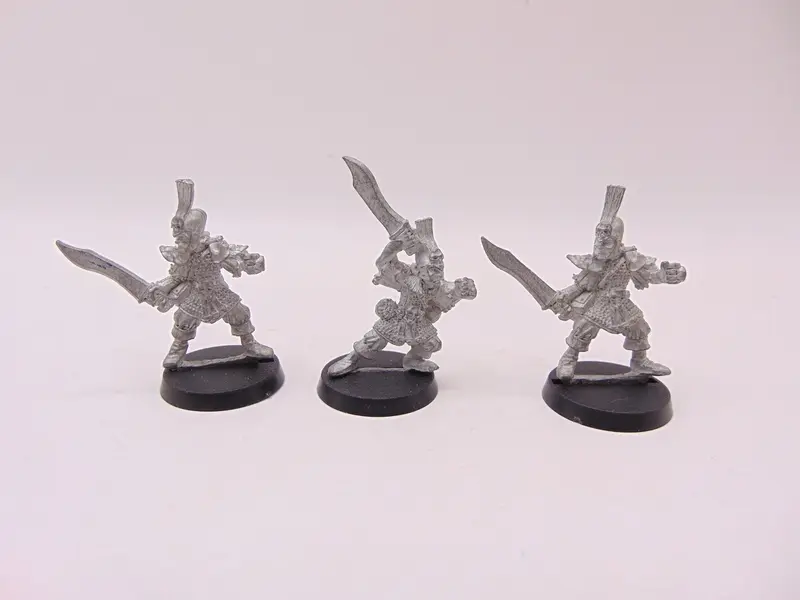 Dark Elf Warriors