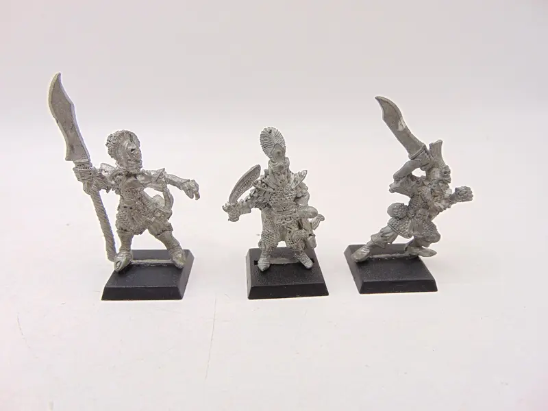 Dark Elf Warriors