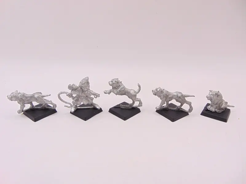 Dark Elf Whelp Master and Hounds