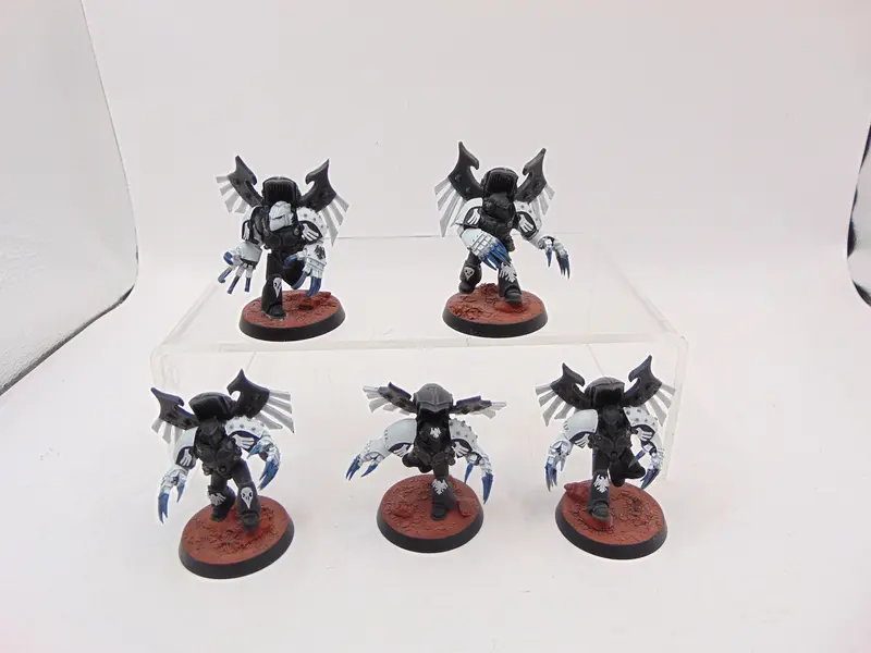 Dark Fury Assault Squad