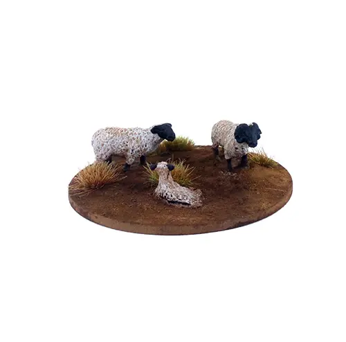 Dead Man's Hand Flock Of Sheep