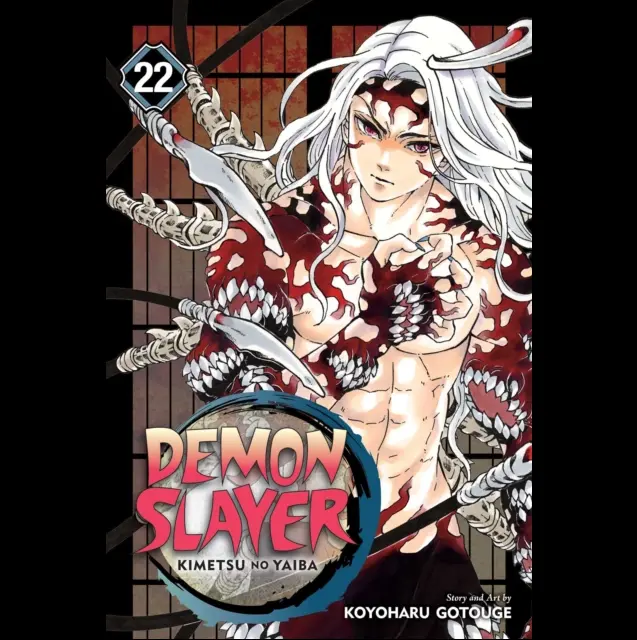 Demon Slayer Kimetsu no Yaiba Vol.22