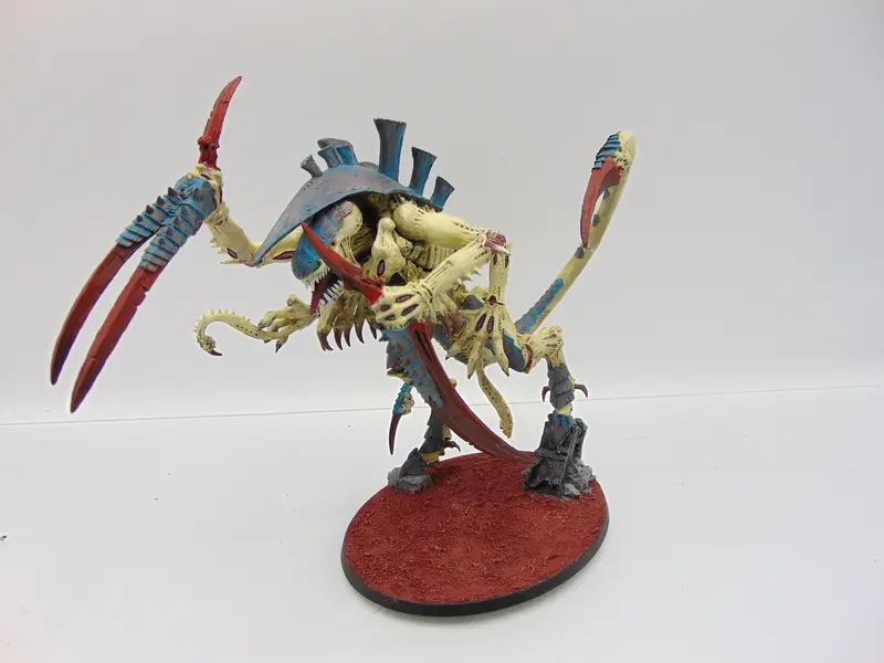 Dimachaeron