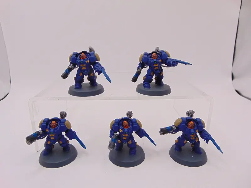 Einhyr Hearthguard