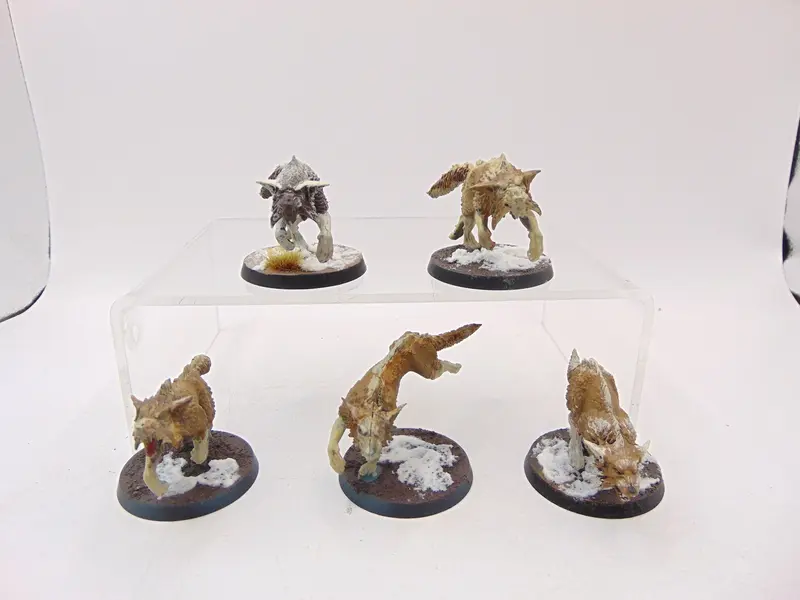 Fenrisian Wolves