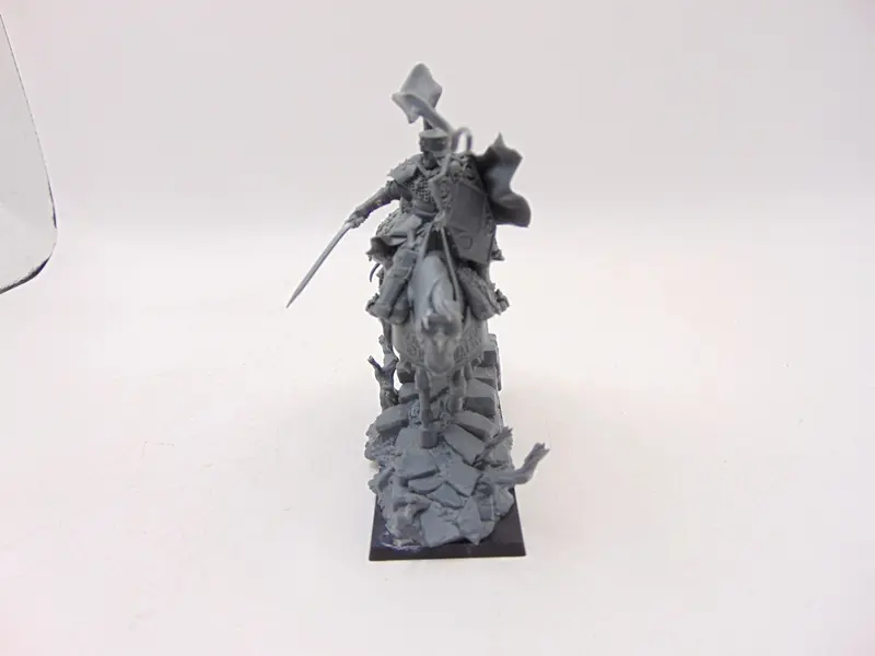 Freeguild Cavalier-Marshal