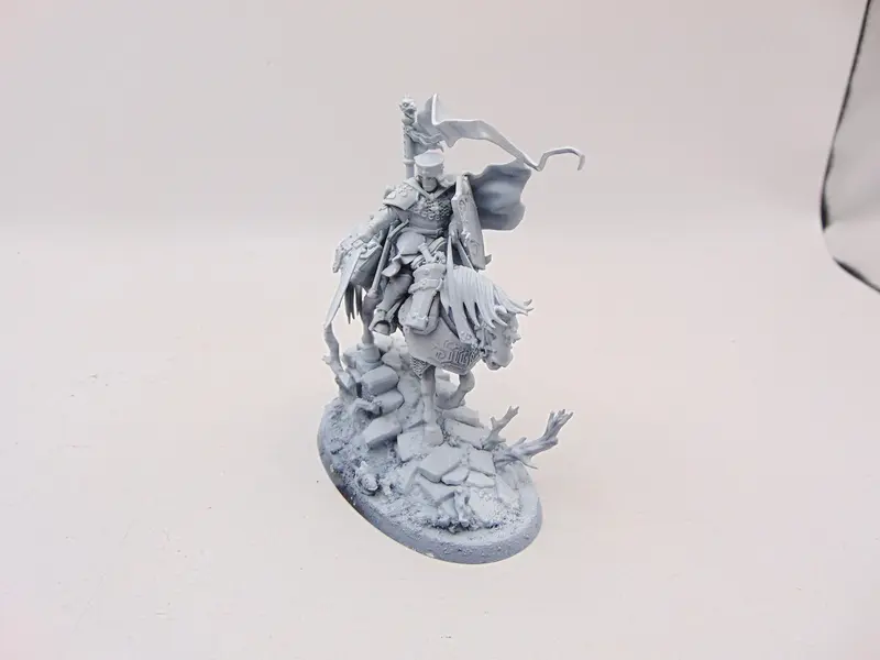 Freeguild Cavalier Marshal
