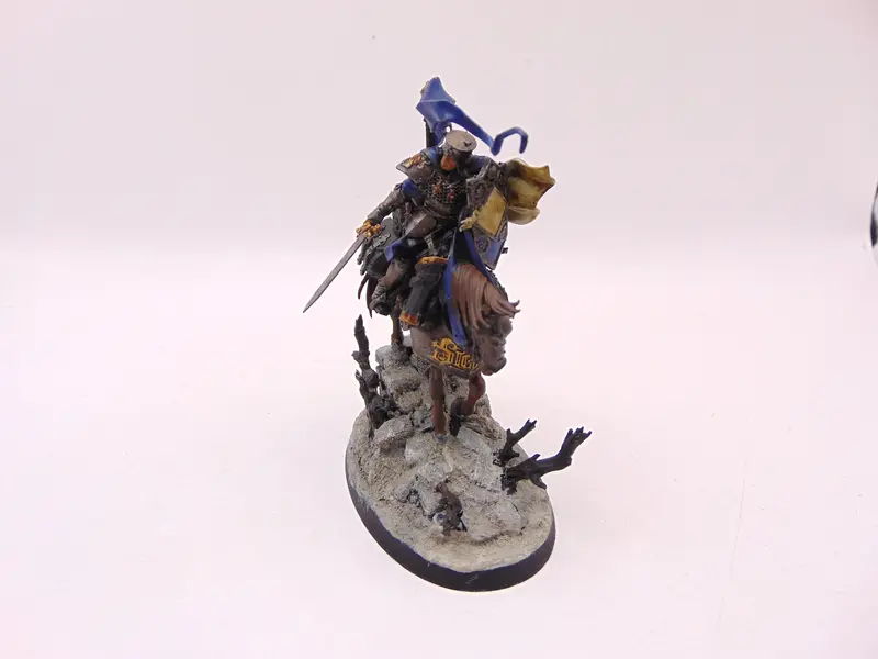 Freeguild Cavalier-Marshal