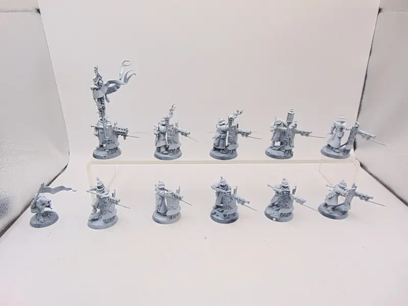 Freeguild Fusiliers