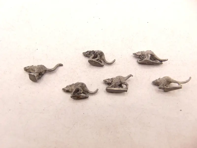 Giant Rats