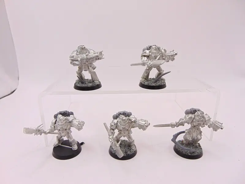 Grey Knight Marines