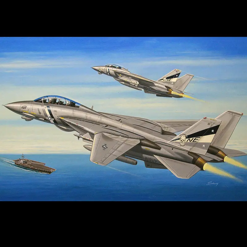 HobbyBoss F-14D Super Tomcat - 1